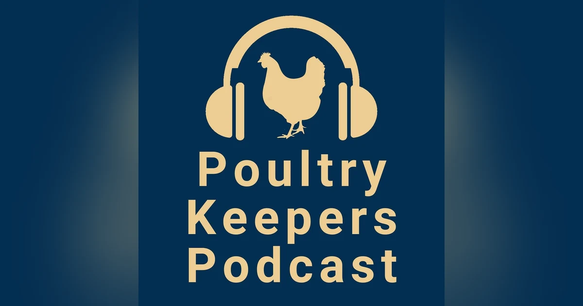Cracking the Poultry Keeping Code: Expert Tips for Starting Your Own Flock