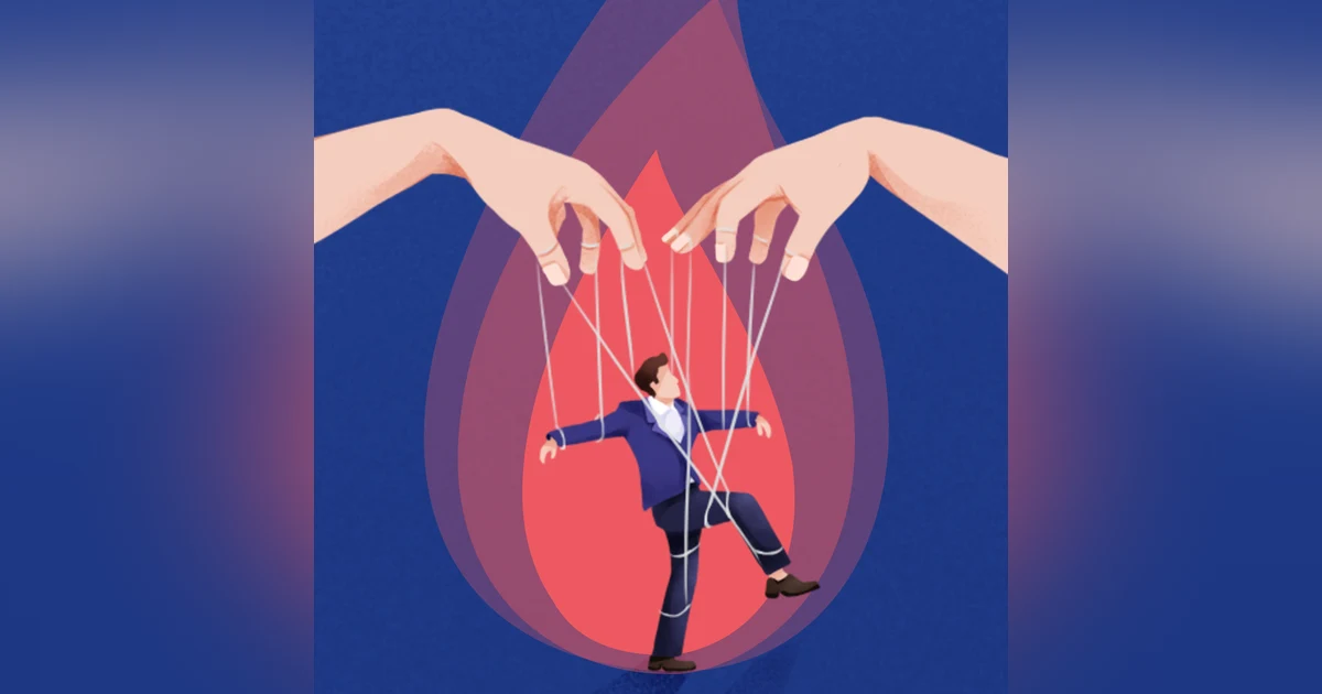 The Gaslight Effect:How to Spot and Survive the Hidden Manipulation Others Use to Control Your Life by Robin Stern