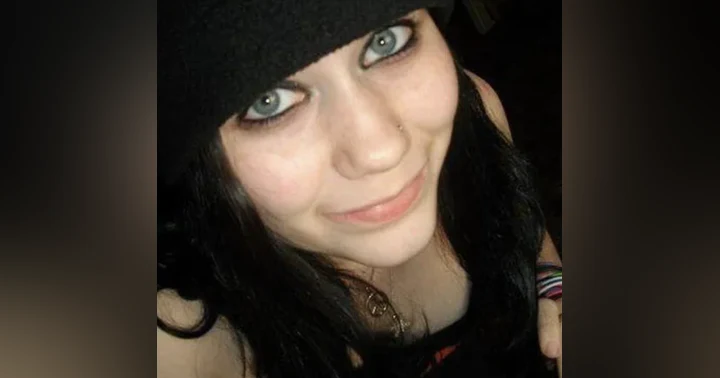 image for The Disappearance of Ali Lowitzer