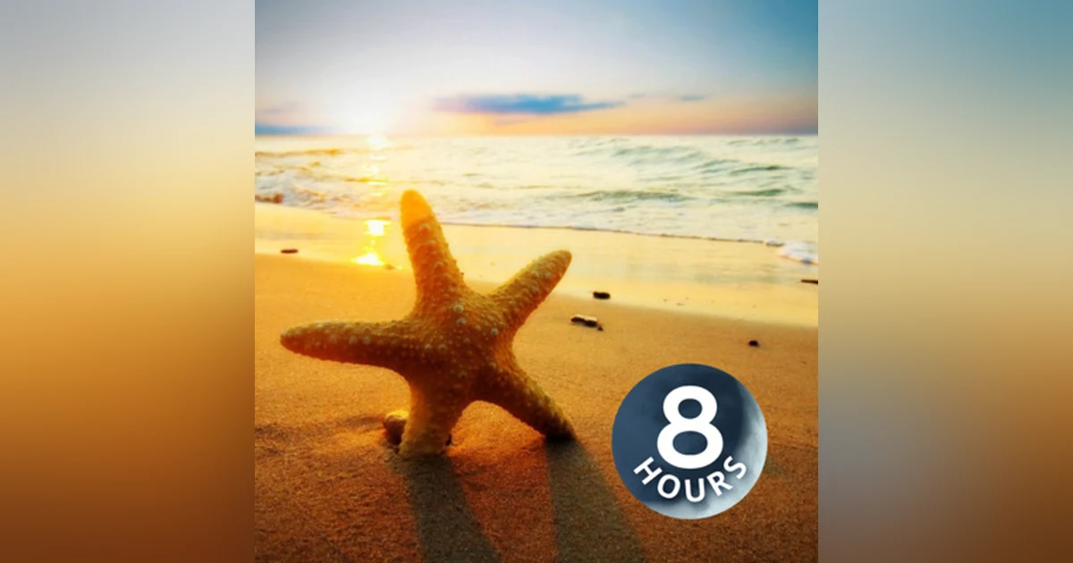Beach Day 8 Hours | Ocean Sounds Help You Relax, Meditate or Fall Asleep