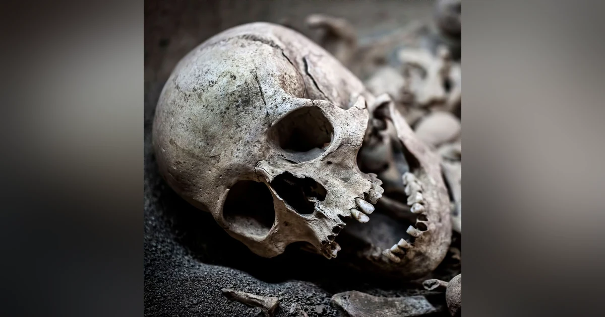 S6: Brutalized Corpses