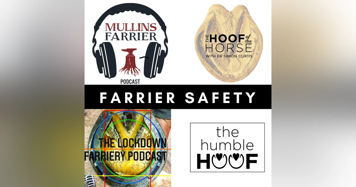 Farrier Safety