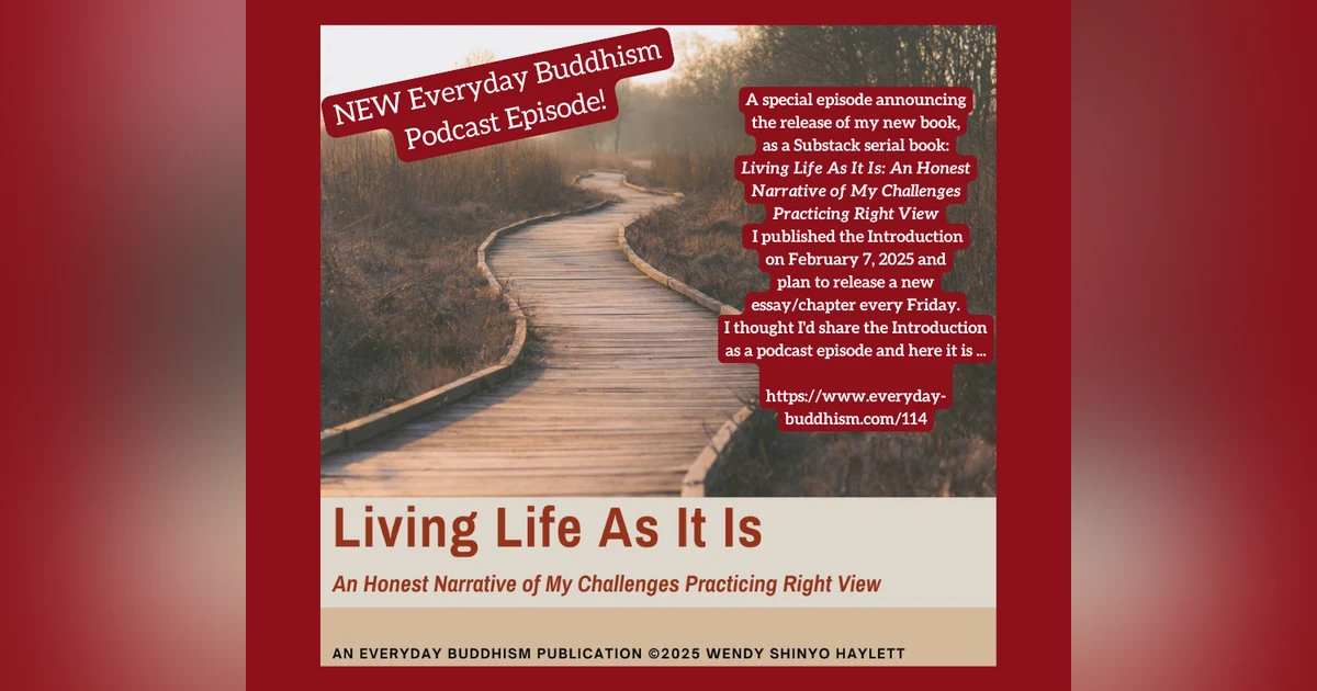 Everyday Buddhism 114 - Release of My 2nd Book - Living Life As It Is