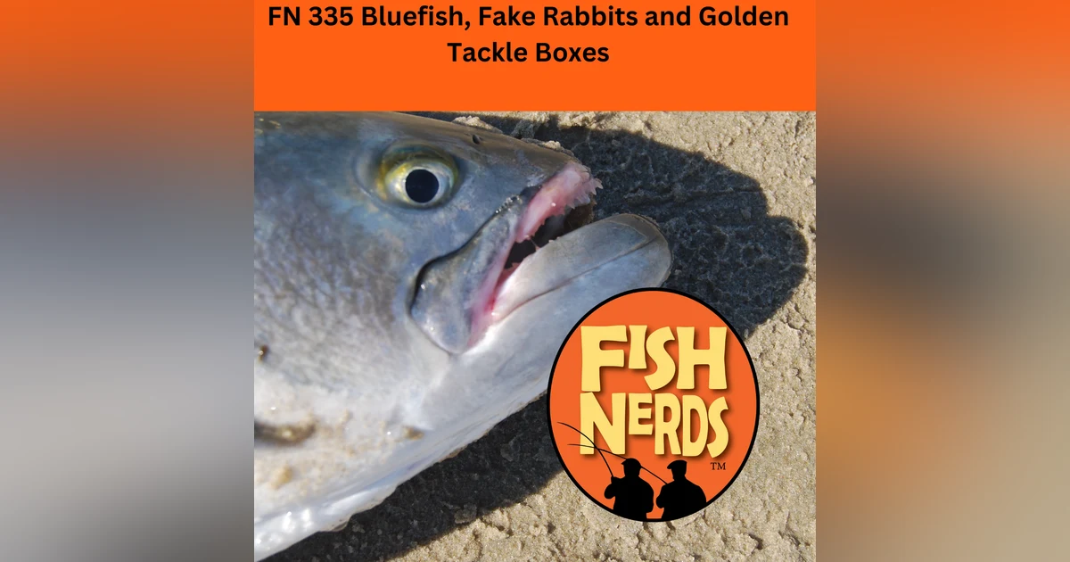 Bluefish Fake Rabbits and Golden Tackle Boxes FN335