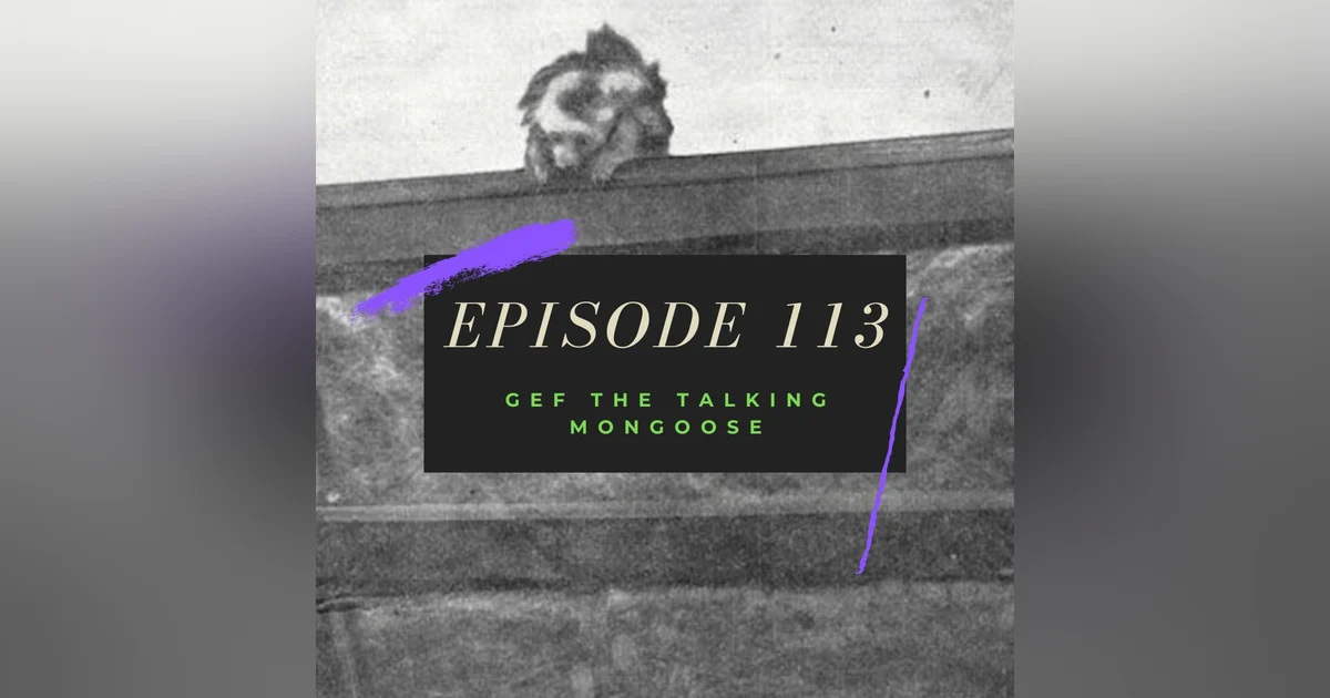 Ep. 113: Gef the Talking Mongoose