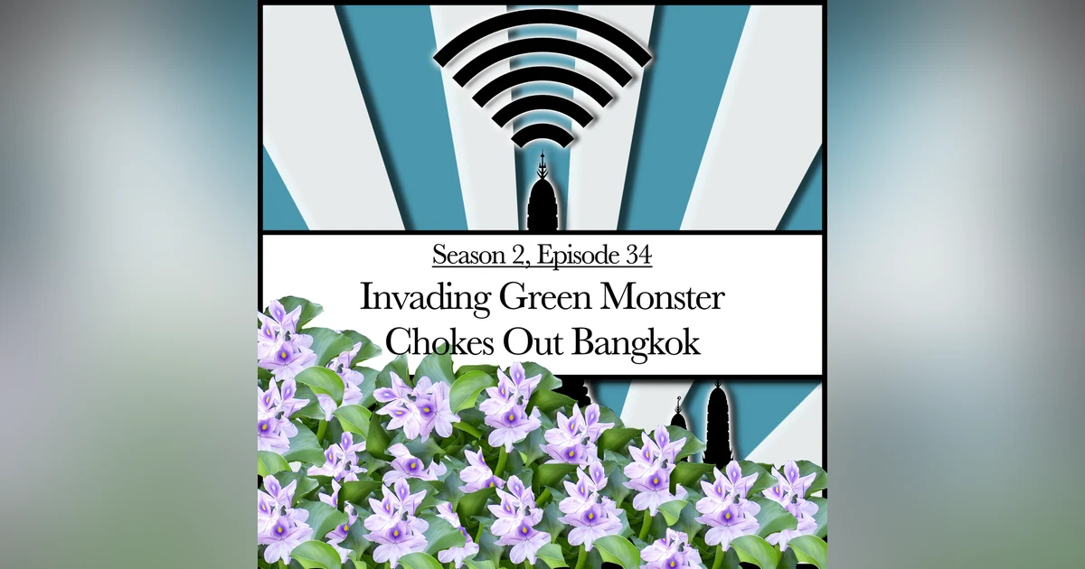 Invading Green Monster Chokes Out Bangkok (2.34)