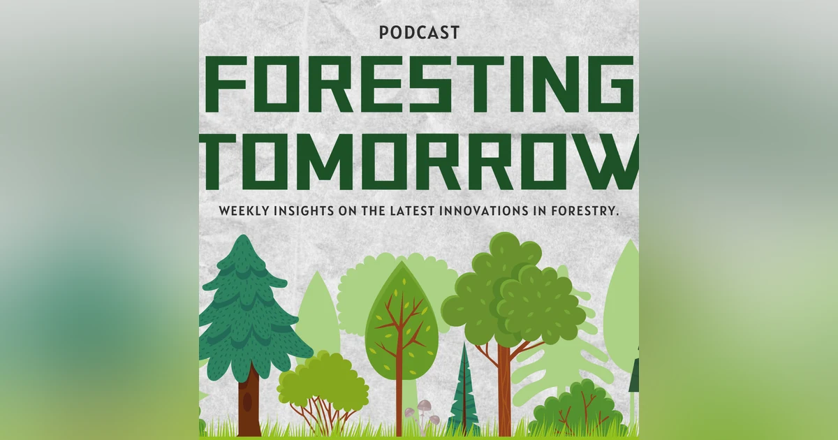 Foresting Tomorrow #1 | The state of the world’s forests 2024 & CLT
