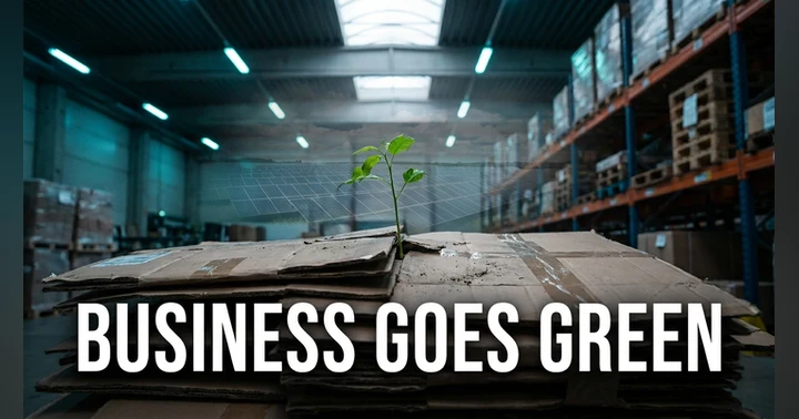 image for Why Business Sustainability Is Becoming Non-Negotiable