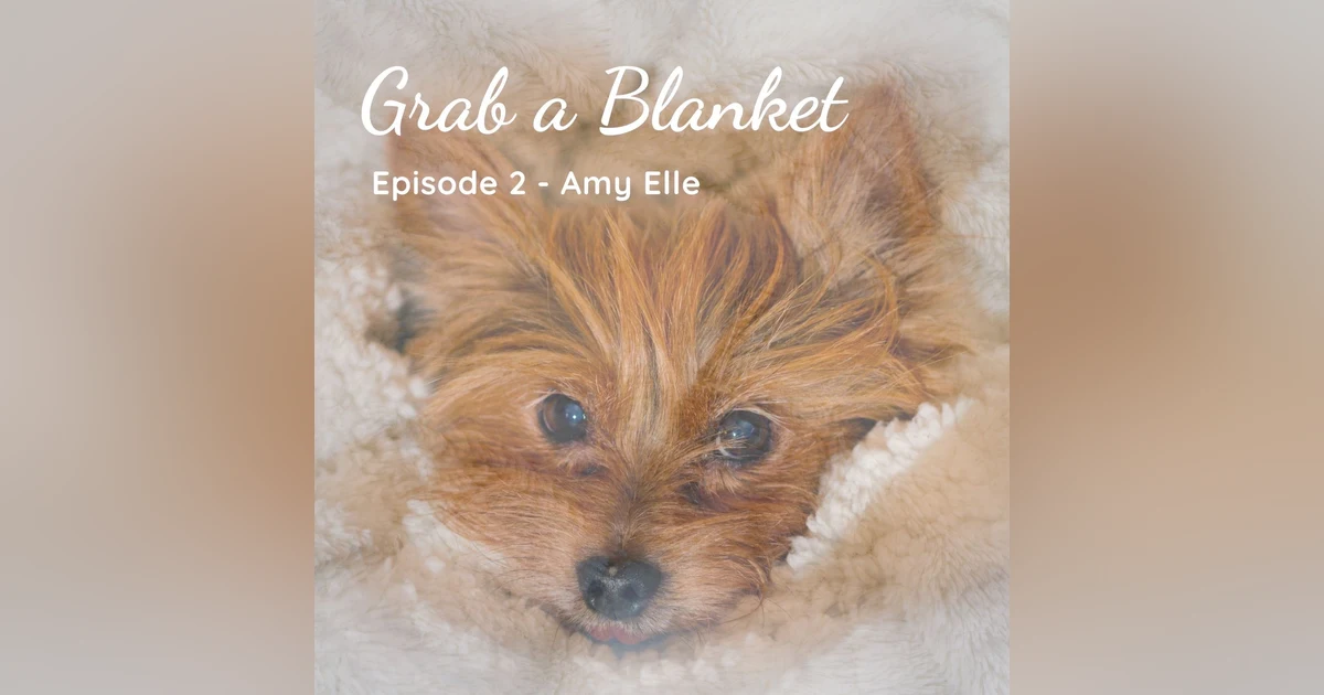 Grab a Blanket - Amy Elle (The Activity Continues, Volsteadland, Collected Sounds)