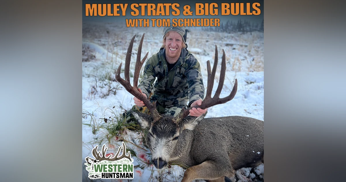 Ep. 241 | Muley Strategies and Big Bulls with Tom Schneider