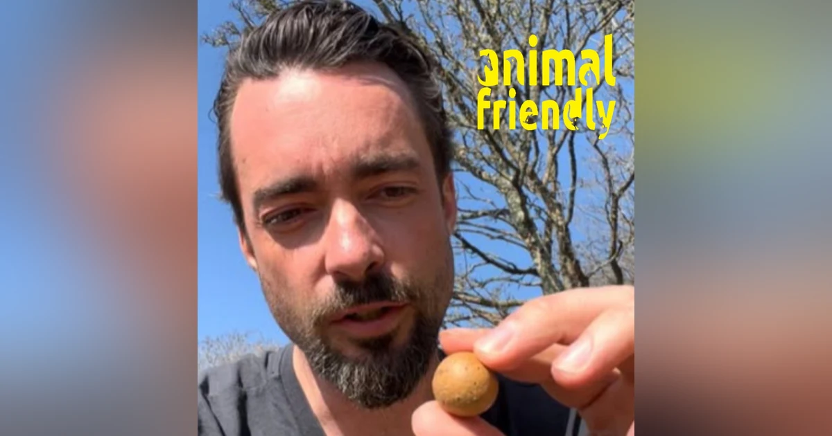 29. The Wild Nature of Ireland