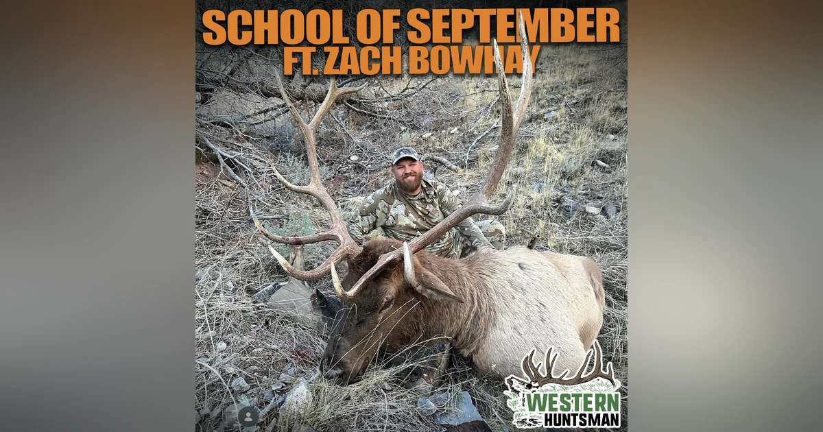School of September with Zach Bowhay