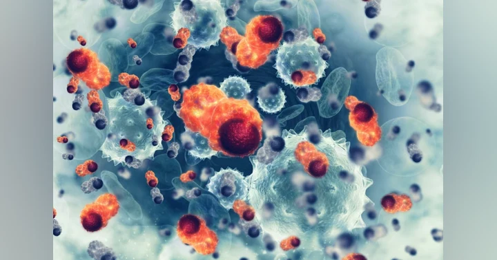 image for Understanding Exosomes and Stem Cell Technology in Skincare: Science, Safety, and Skin Regeneration