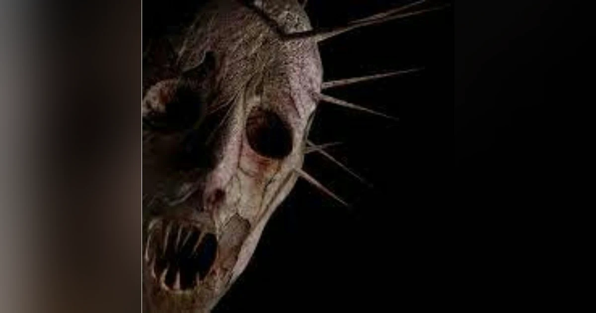 Por qué te despiertas a las 3 de la madrugada? | 4 Historias de terror
