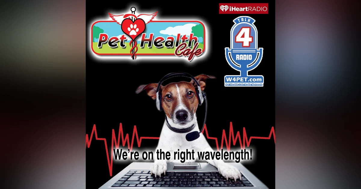 Fleas, Ticks, Heartworms, and drugs