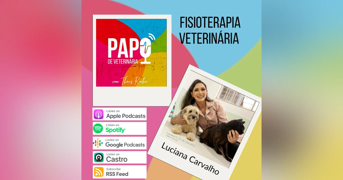 Fisioterapia de pequenos animais, o que é e como funciona? Com Luciana Carvalho