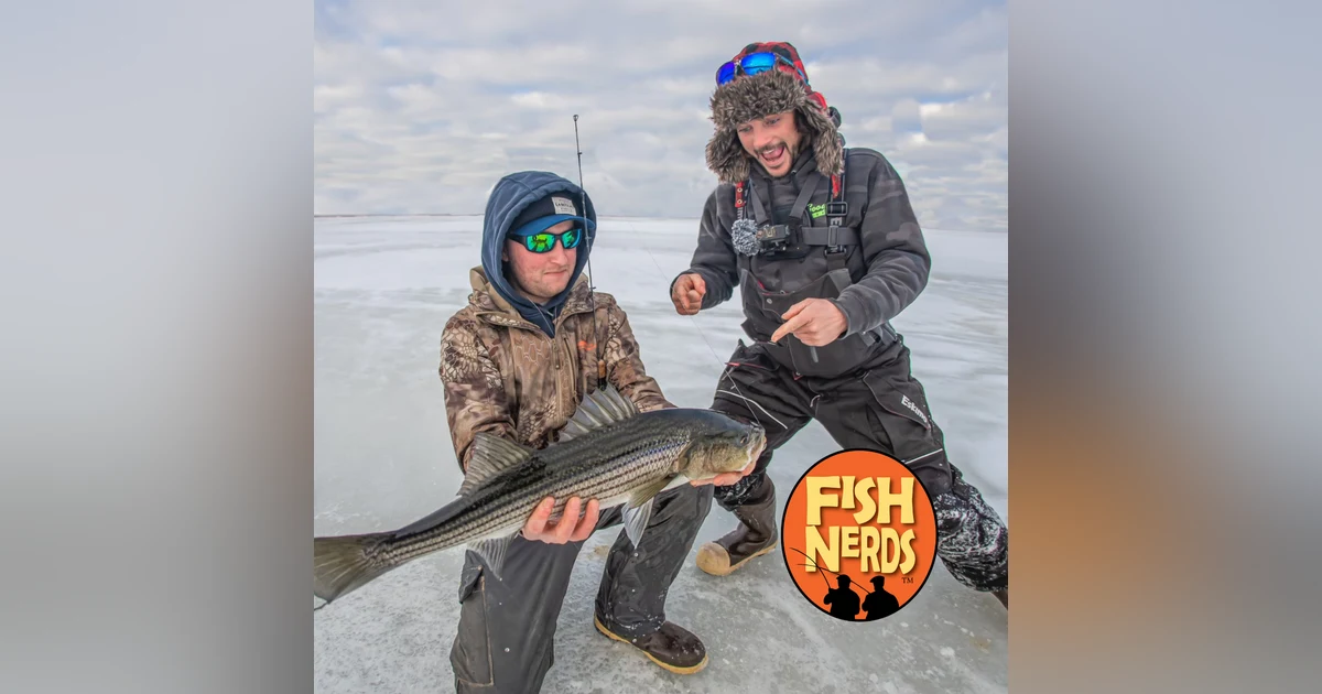 Ice Fishing for Striped Bass with Fishing Grubbz