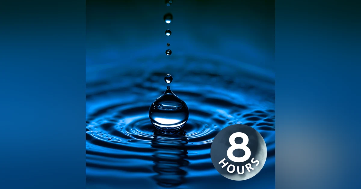 Rain Sounds for Sleeping | 8 Hour Pitter-Patter Pond Sound