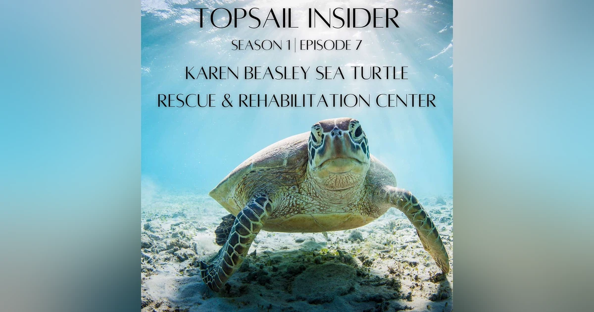Karen Beasley Sea Turtle Rescue & Rehabilitation Center