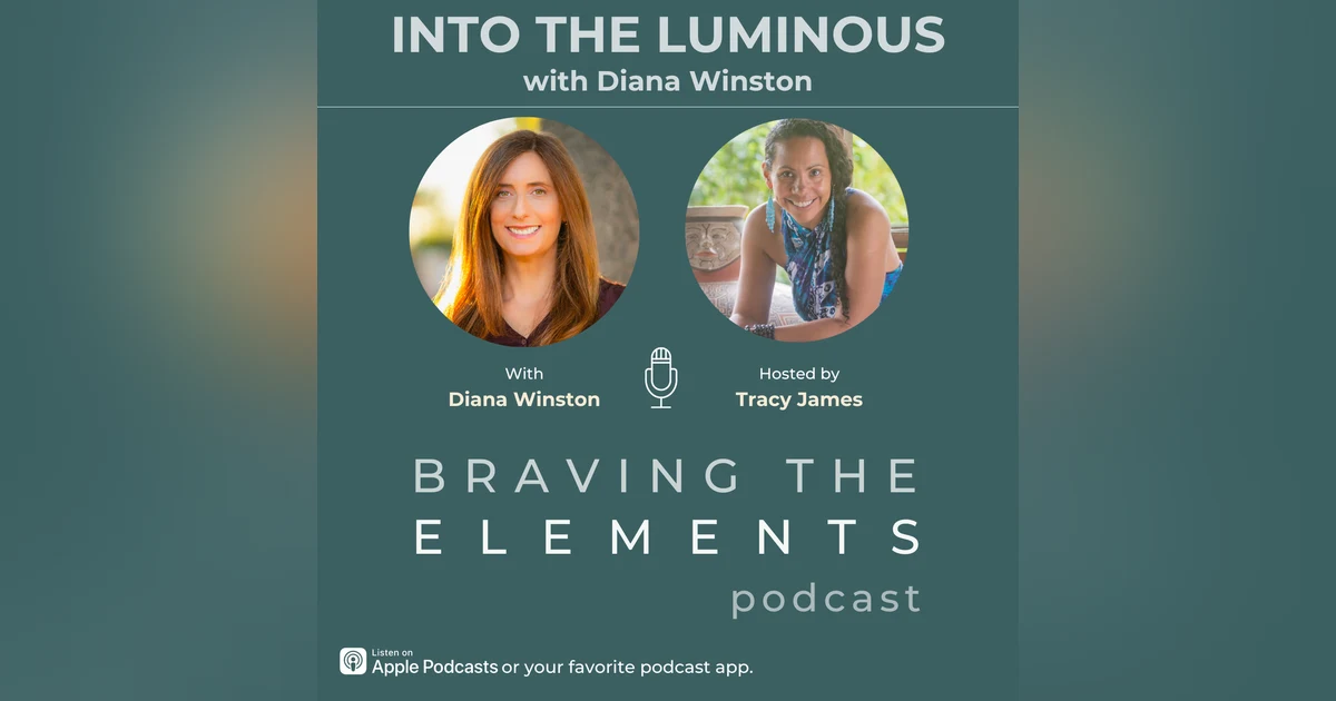 S3:E11 Into The Luminous with Diana Winston