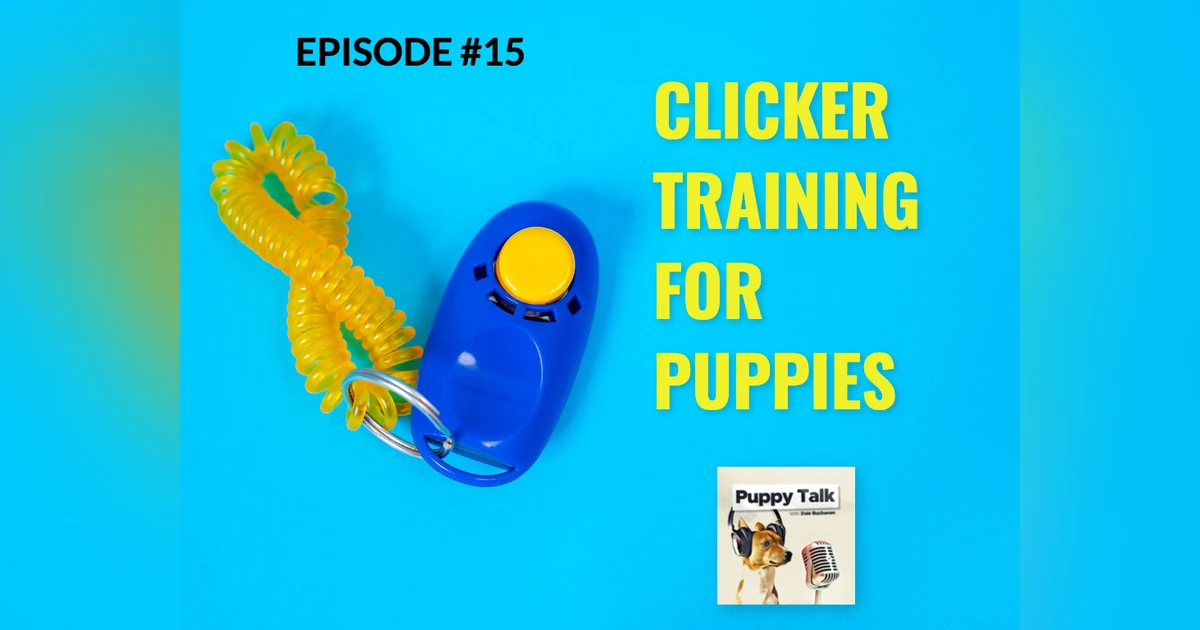 Clicker Training for Puppies