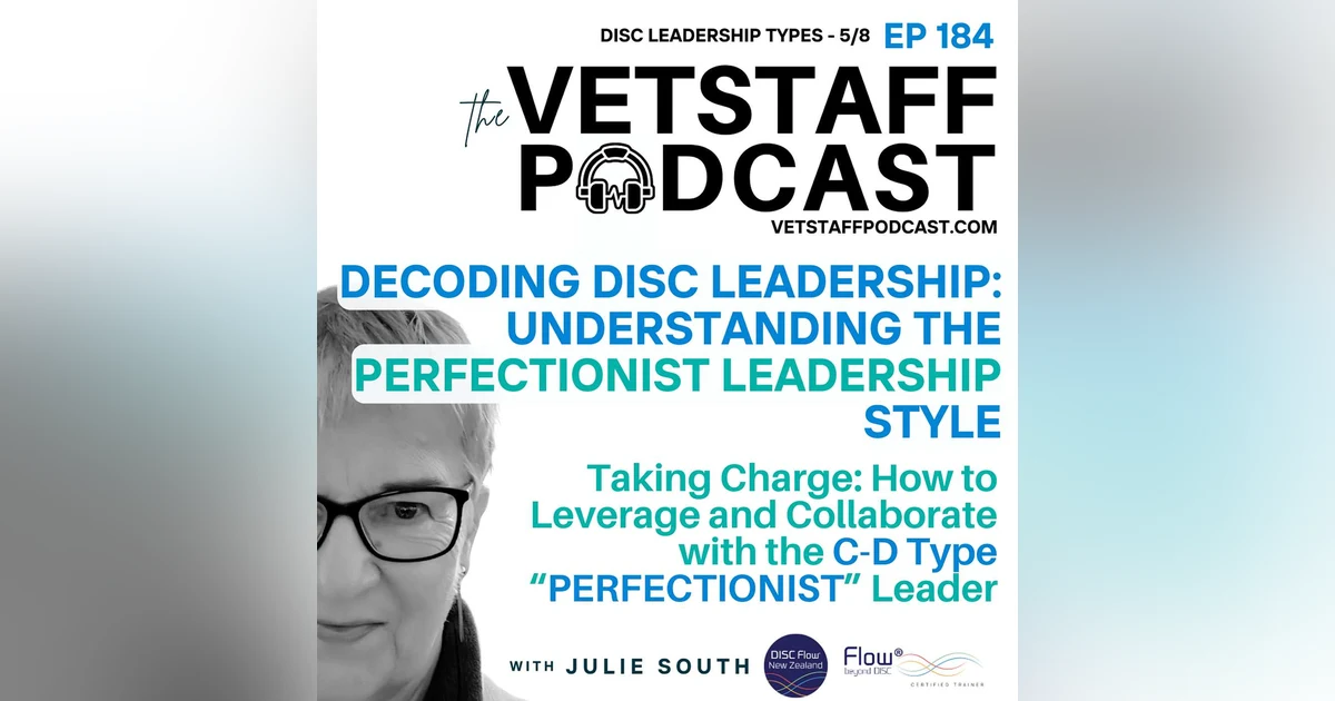 Decoding DISC Leadership - Understanding the “PERFECTIONIST LEADER” style - 5/8