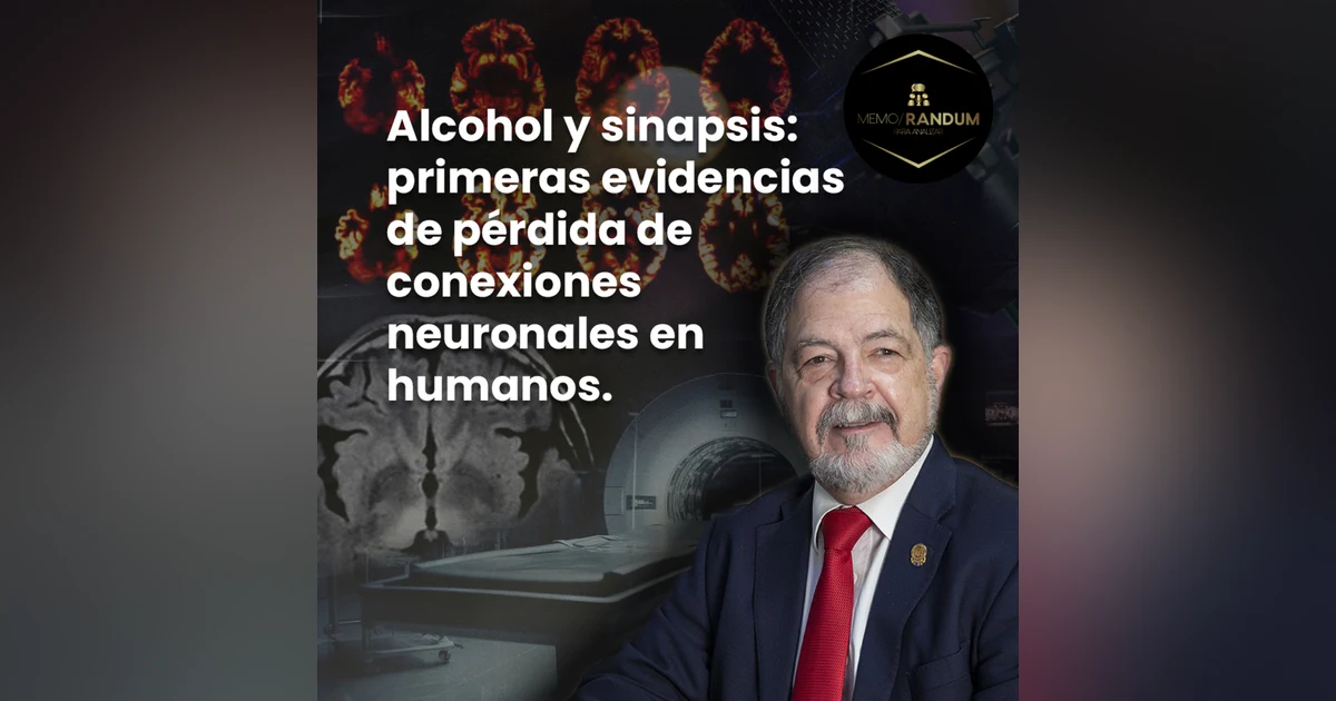 Alcohol y sinapsis: primeras evidencias de pérdida de conexiones neuronales en humanos.