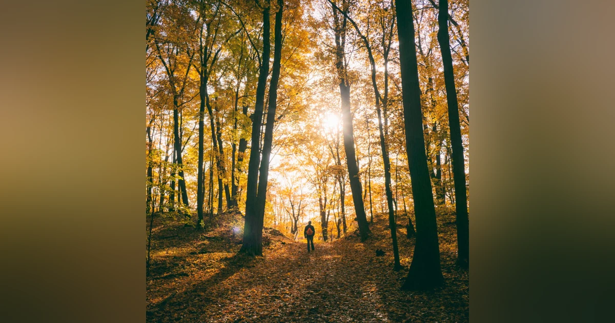 Find Your Way, Lose Yourself with Pisgah Map Company (Pete Kennedy & Jack Henderson)