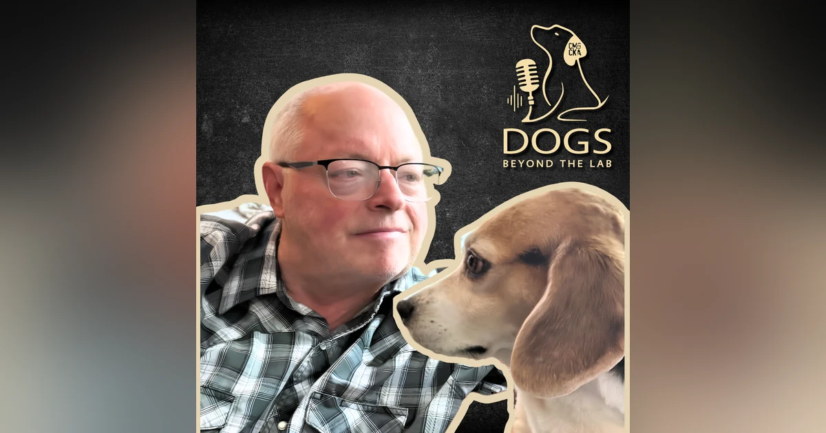 Badger, Gabe, and Kai: How Three Beagles Rewrote One Family’s Life
