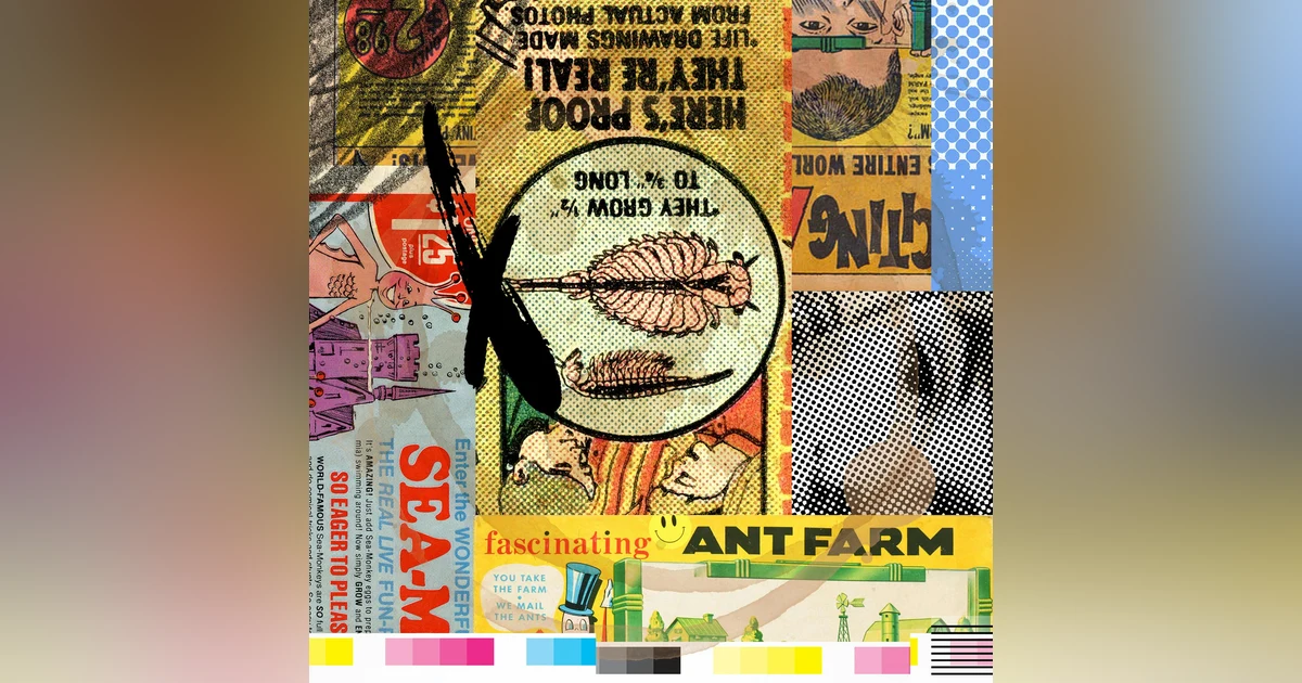 Episode 62: Ant Farms vs. Sea Monkeys
