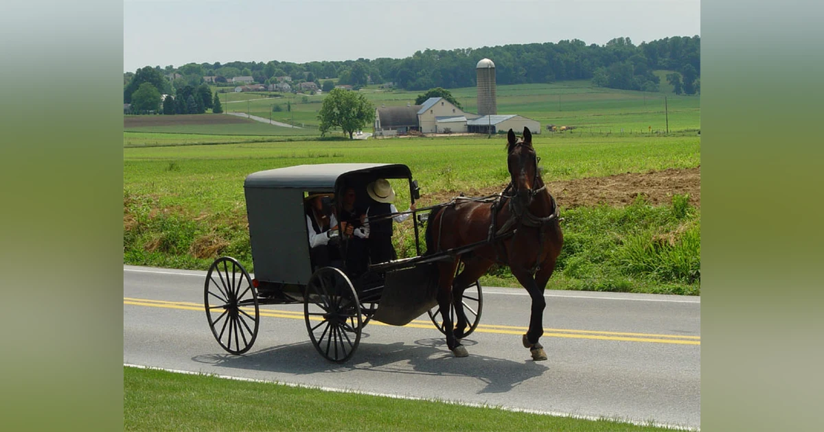 The Amish
