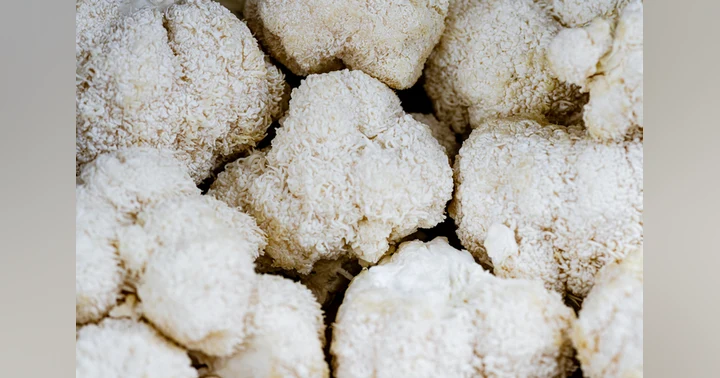 image for Lion's Mane: A Mushroom for Your Mind