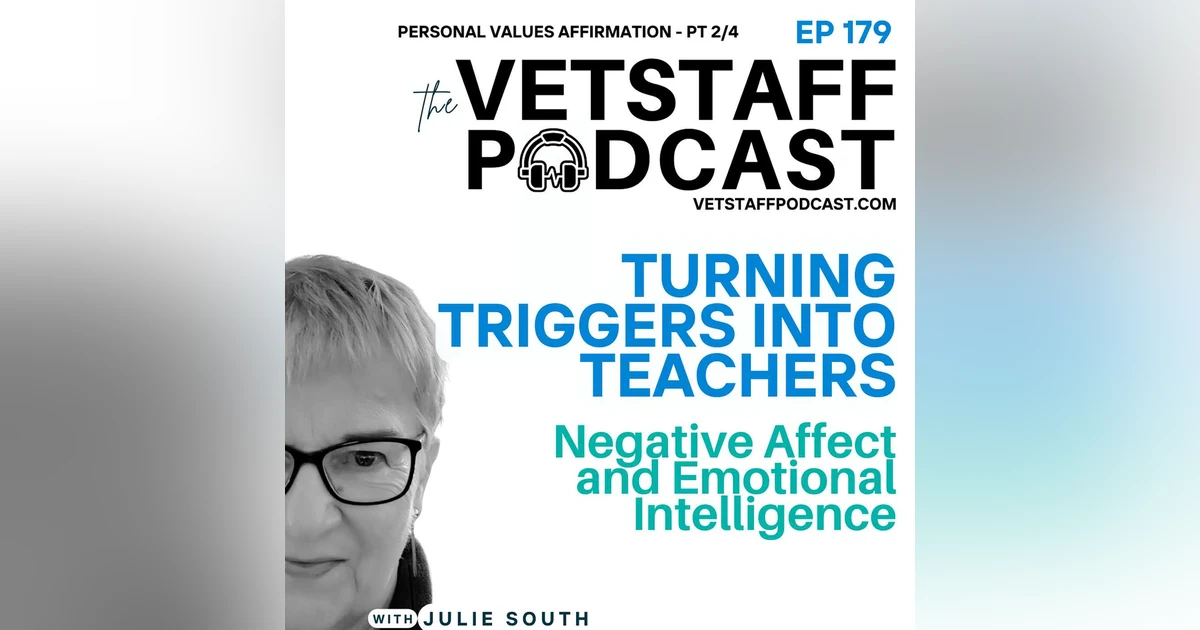 Turning Triggers Into Teachers - Negative Affect and Emotional Intelligence