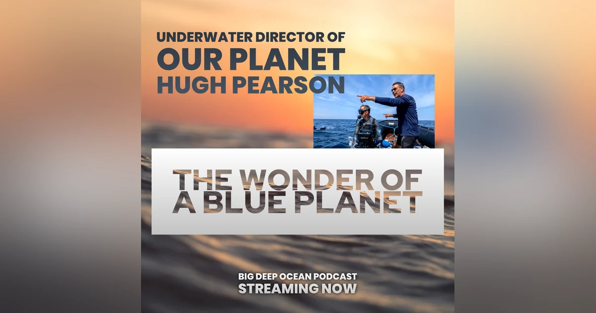 The Wonder of a Blue Planet: Hugh Pearson on filming iconic scenes from the oceans of our world