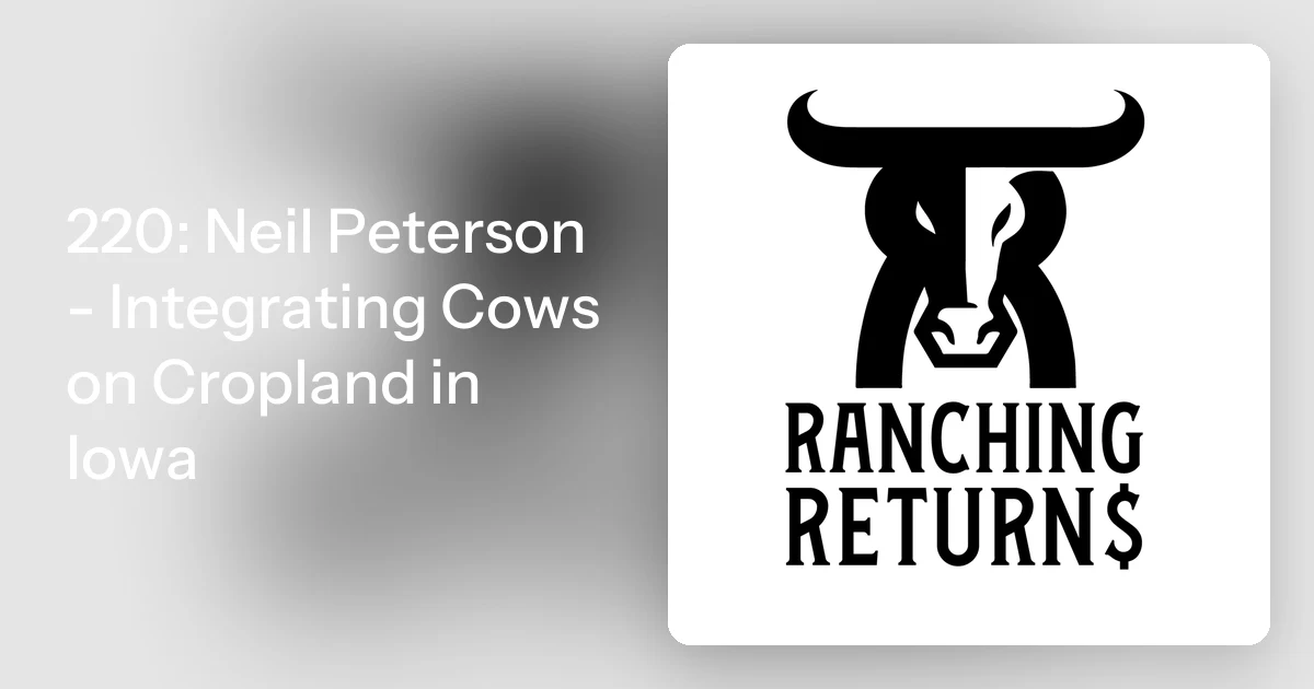 Neil Rissler Iowa 220: Neil Peterson - Integrating Cows on Cropland in Iowa