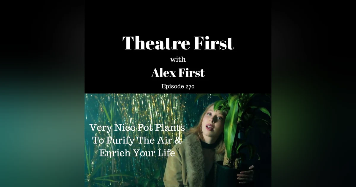 Very Nice Pot Plants To Purify The Air and Enrich Your Life (Theatre Works, Melbourne Australia)