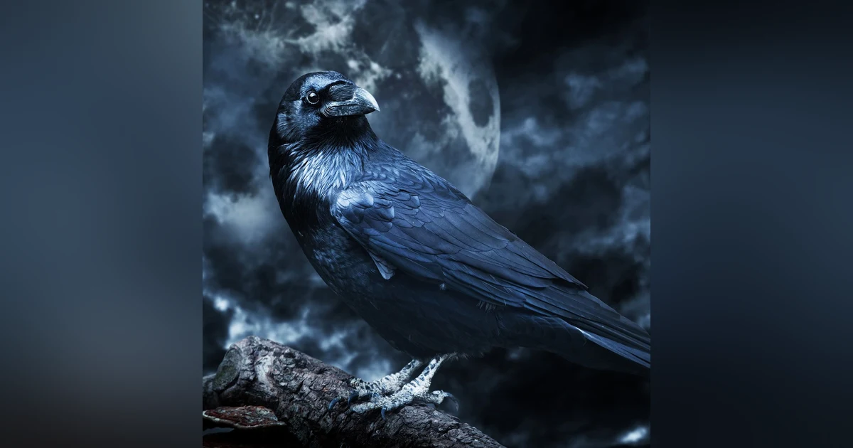 The Raven by Edgar Allan Poe