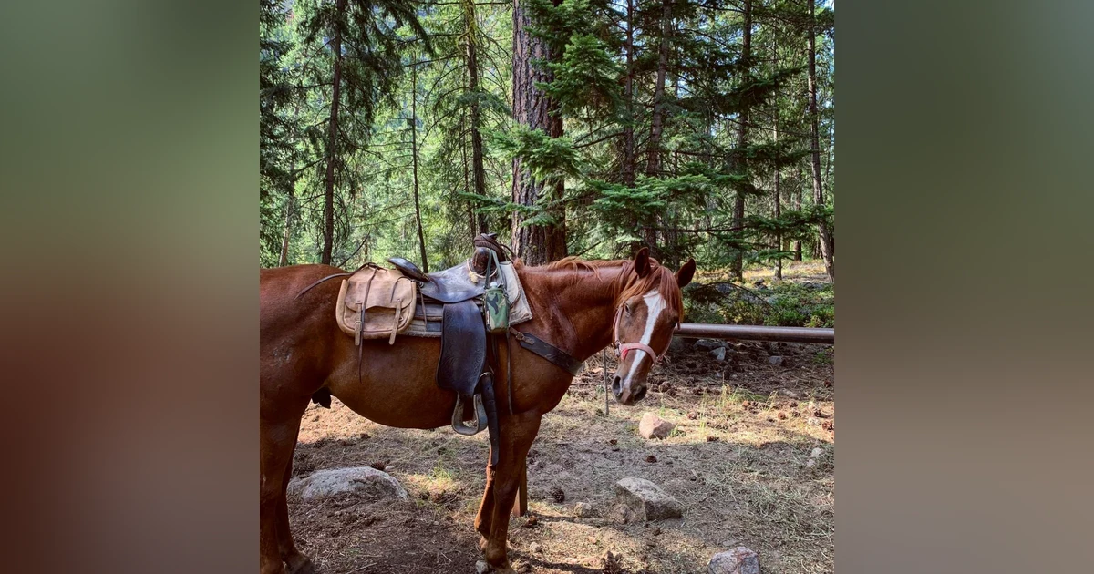 #29: Horse Pack Trip into the Wilderness