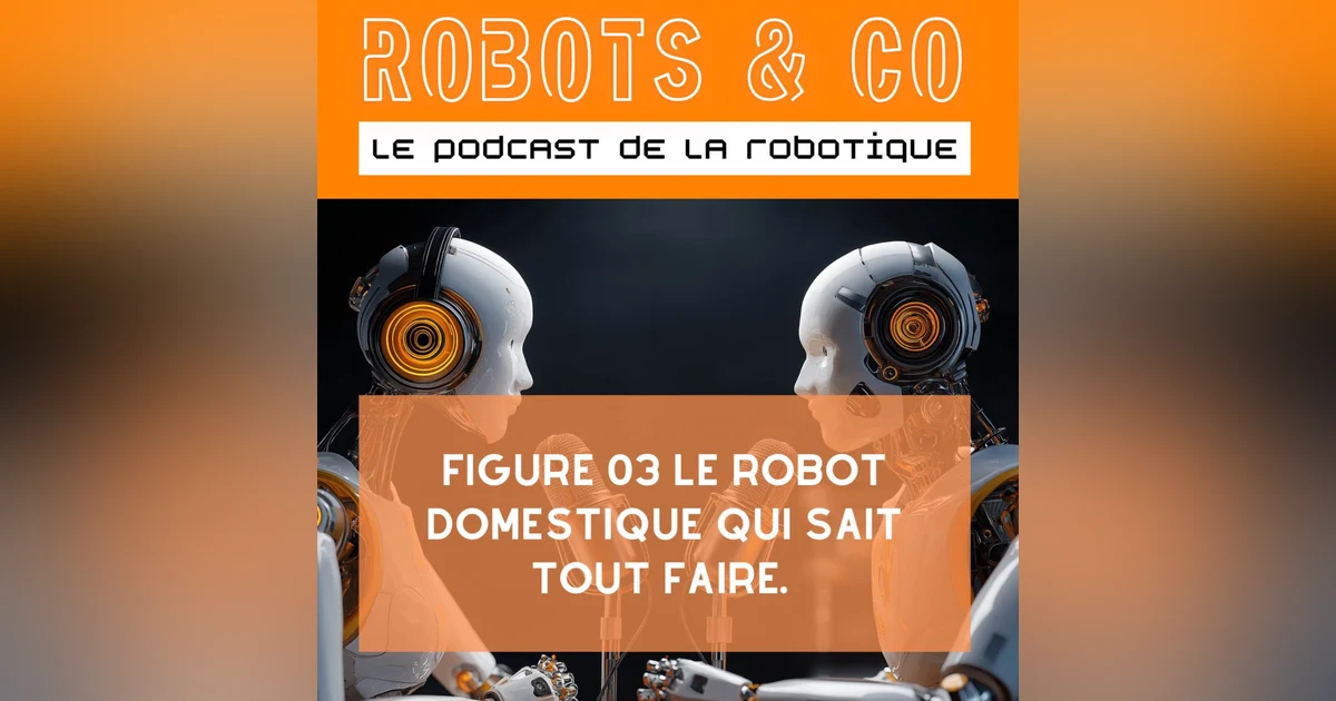 Figure O3 : le robot domestique qui sait tout faire