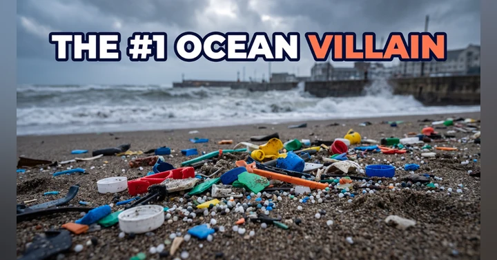 image for Plastic Is Still the Ocean's #1 Villain
