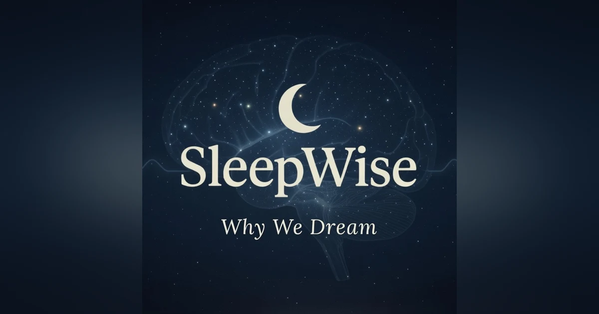 Why We Dream | A SleepWise Story