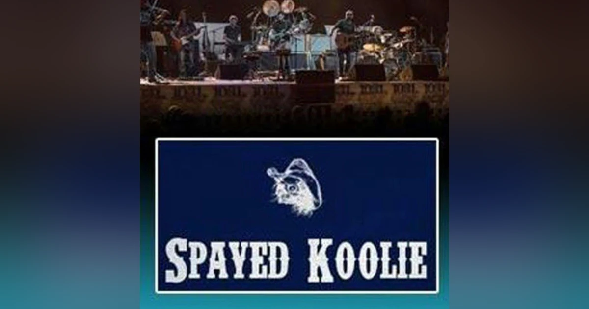 Spayed Koolie Interview