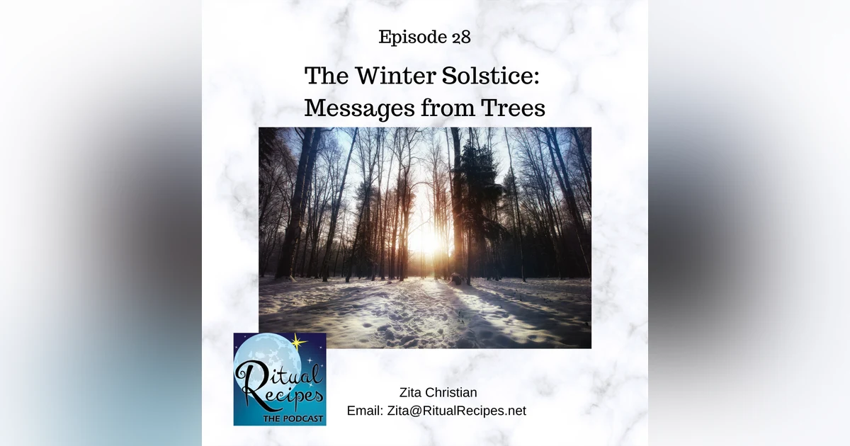 Winter Solstice Messages from the Trees