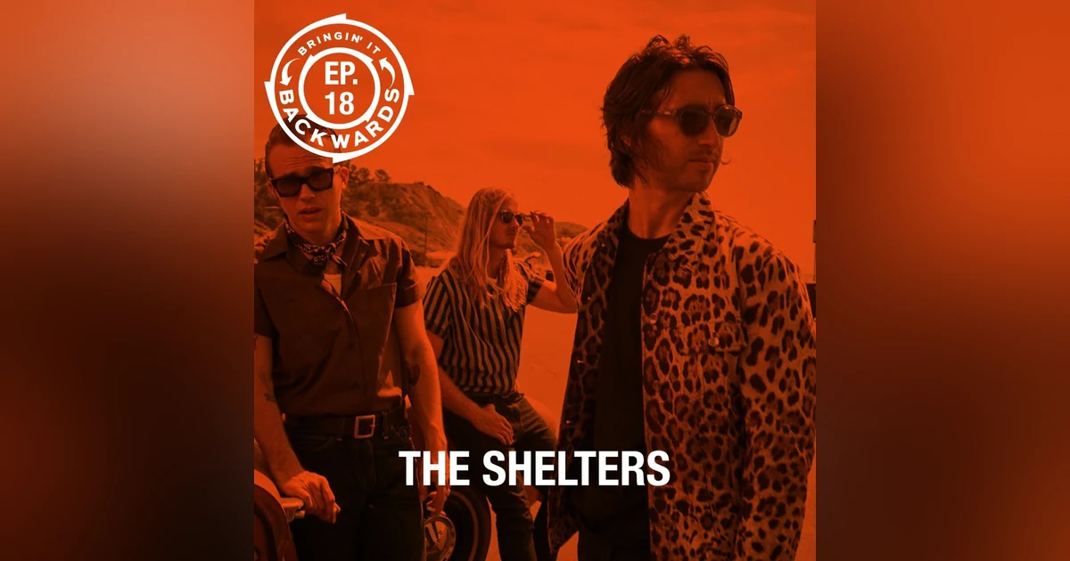 Interview with The Shelters