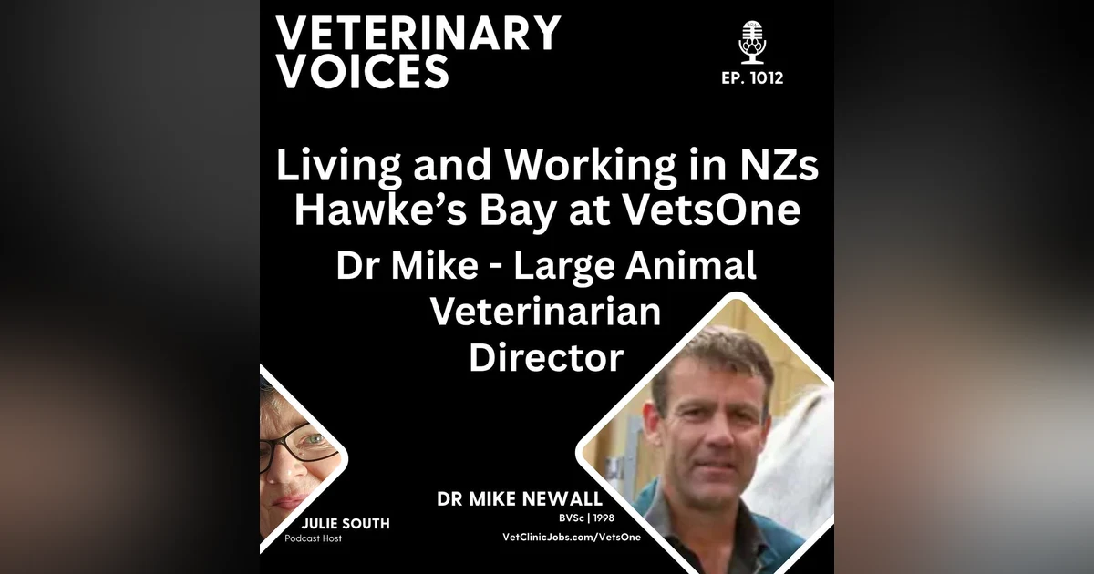 Vet Clinic Employer of Choice: VetsOne - Hawke's Bay NZ - Dr Mike Newell - Veterinarian + Director | ep.1012
