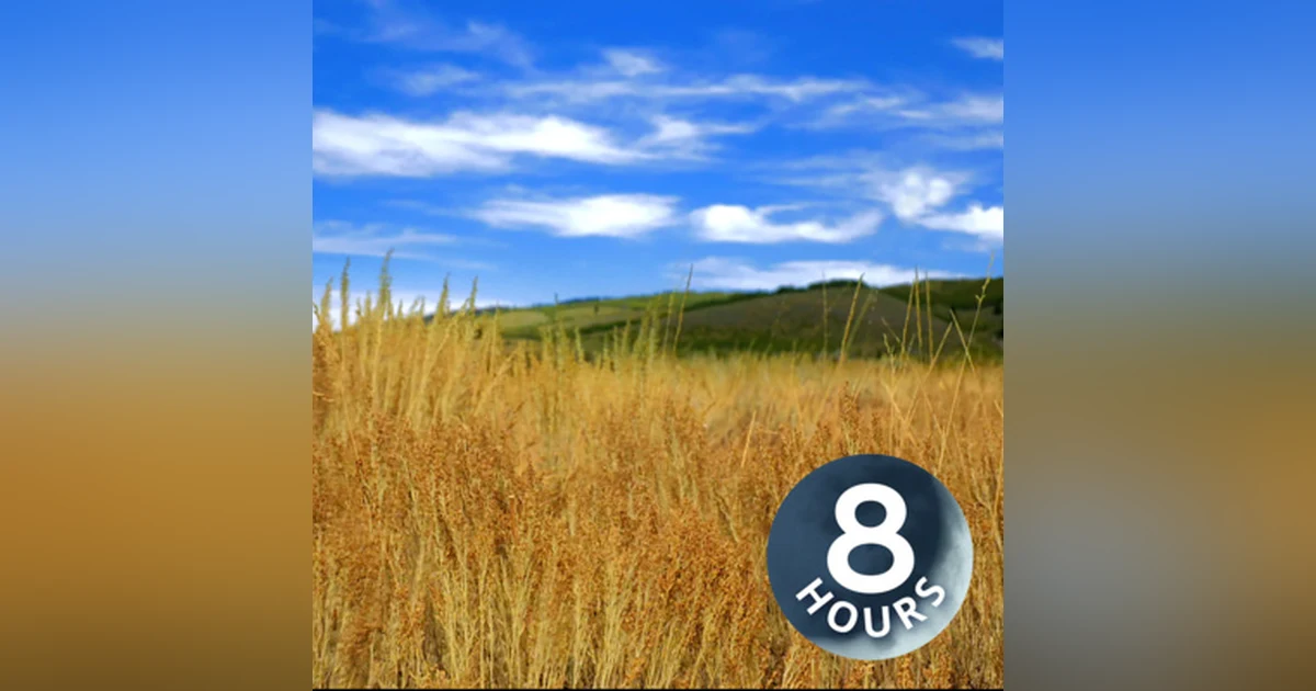 Relaxing Wind Sounds for Sleeping or Stress Relief | Nature White Noise 8 Hours