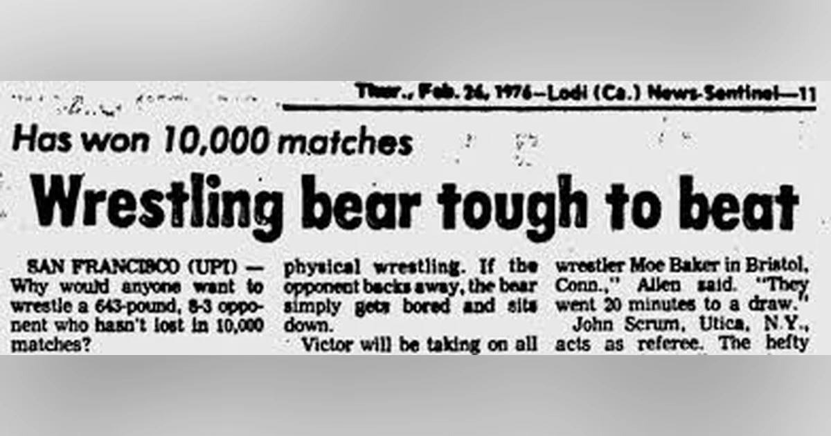 NO BRAINS VS. BRAWN: THE DAYS WHEN BEAR-WRESTLING RULED