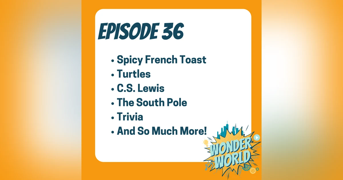 Wonder World Podcast Monday, November 27