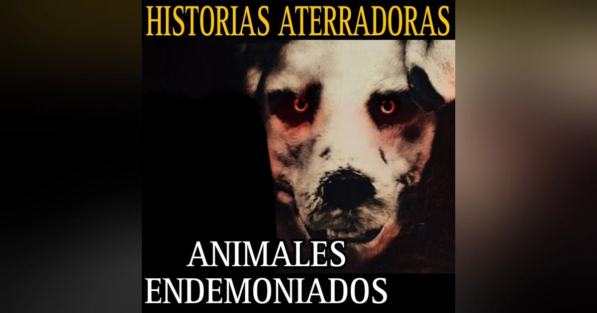 CUIDE A UN GATO QUE ERA UTILIZADO EN BRUJERIA / MARATON DE RELATOS DE ANIMALES ATERRADORES / L.C.E.