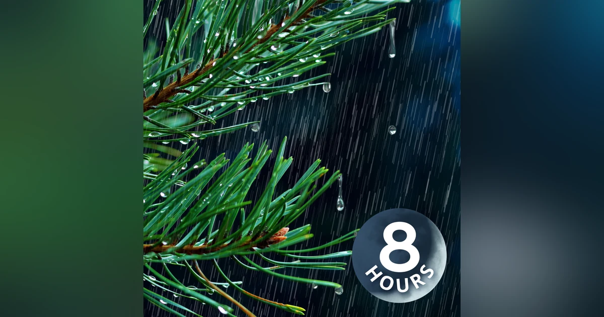 Heavy Rain Sound for Sleeping | 8 Hour Relaxing Rainfall White Noise for Deep Sleep